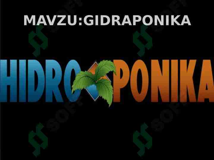 GIDRAPONIKA