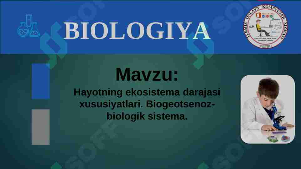 Hayotning ekosistema darajasi xususiyatlari. Biogeotsenoz-biologik sistema.