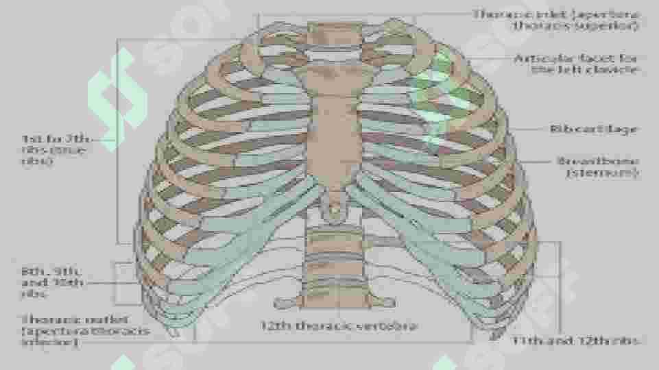 Kaliningrad qizlari jinsiy aloqa qidirmoqda