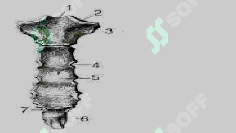 Jodugarlar porno rasmlar