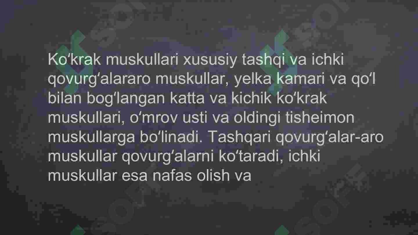 Joli porno yalangoch