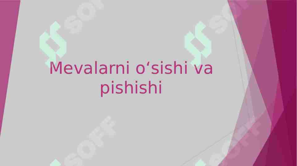 Mevalarni oʻsishi va pishishi