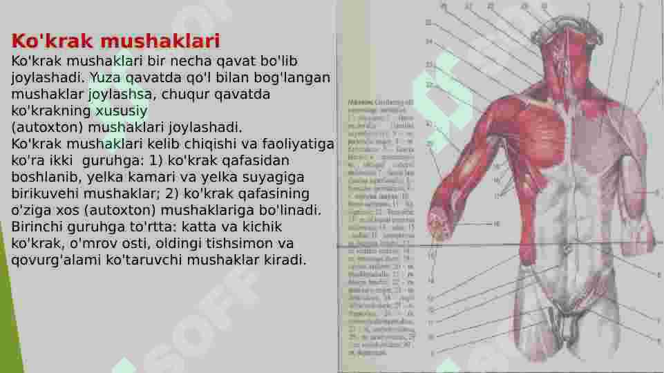 Shvetsiya jinsiy aloqa 80s