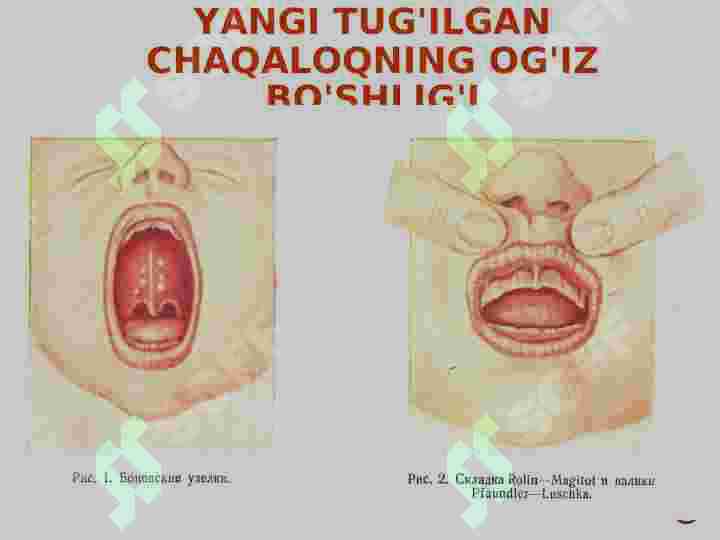 Forbidden Pleasures pornosini onlayn tomosha qiling