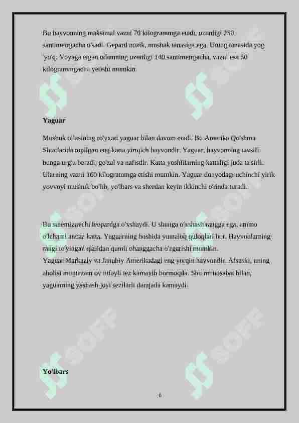 Kannibal porno videolar