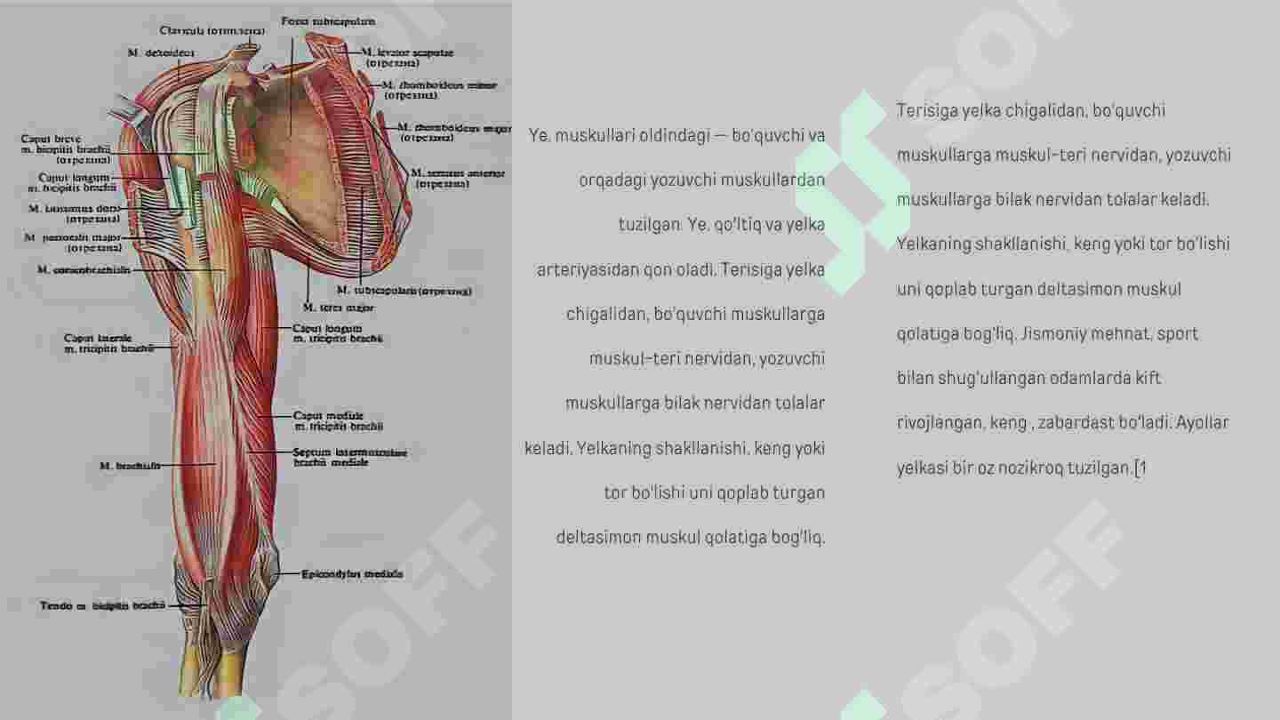 Xotin erini belbog bilan sikmoqda (soat) Haqiqatan ham chiroyli porno