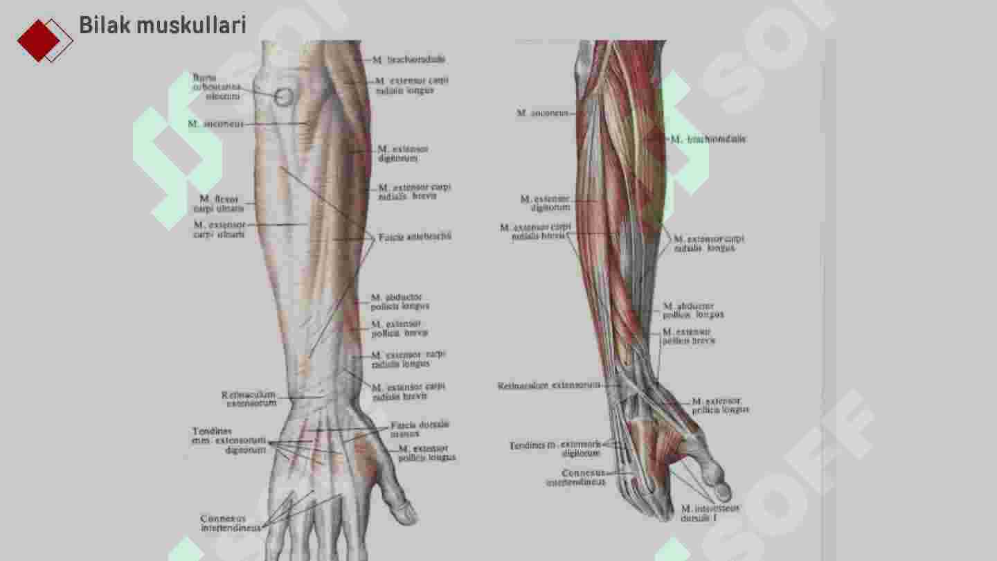Qul komiks bilan jinsiy aloqa Qizlar qolida katta sik