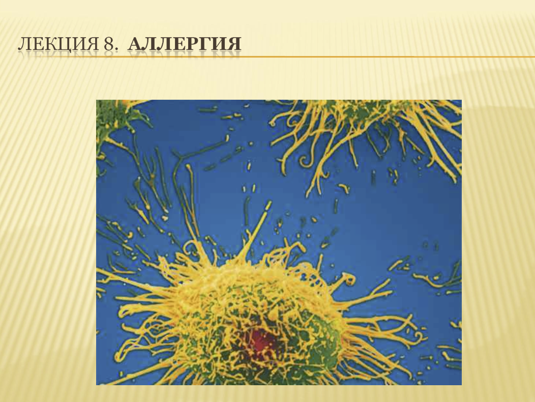 Аллергическая реакция ppt