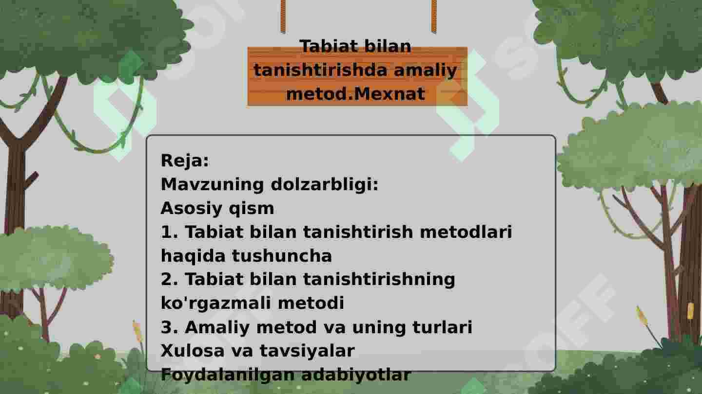 Keksa ayolning mushukini korsatayotgan videosi