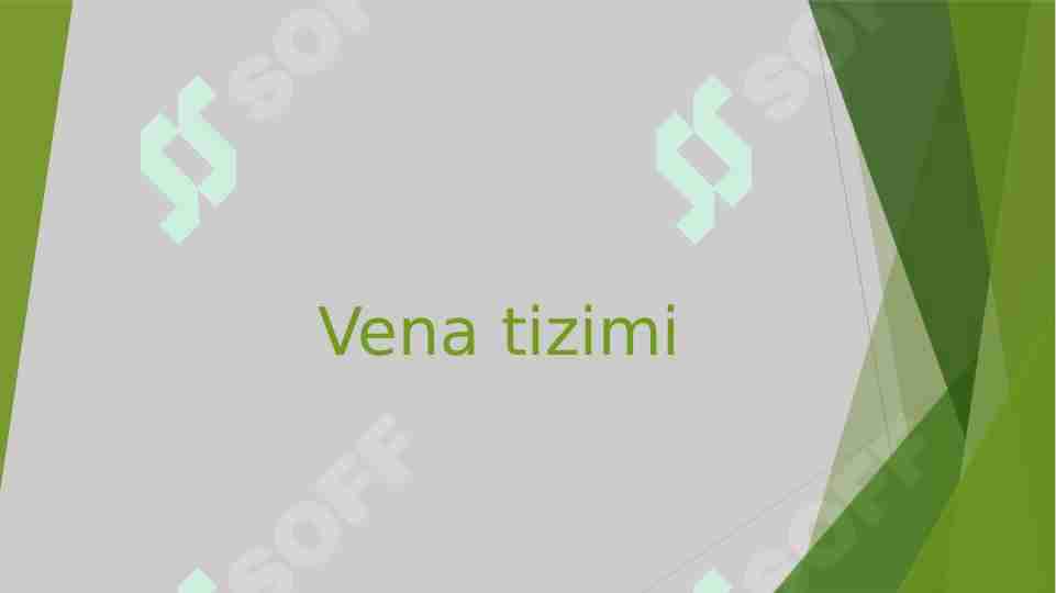 Vena tizimi