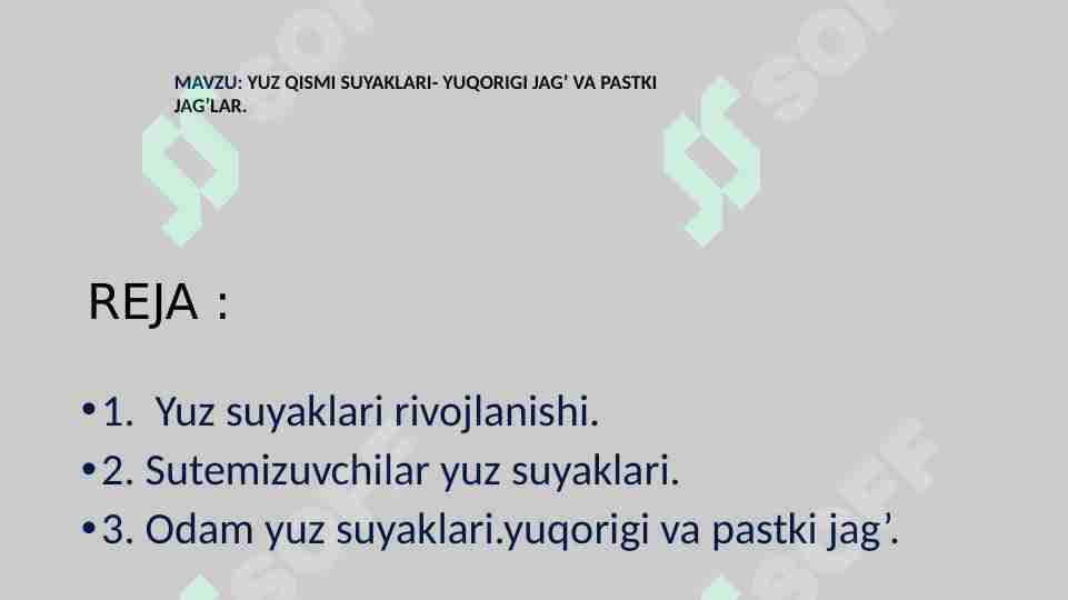 YUZ QISMI SUYAKLARI- YUQORIGI JAG‘ VA PASTKI JAG‘LAR