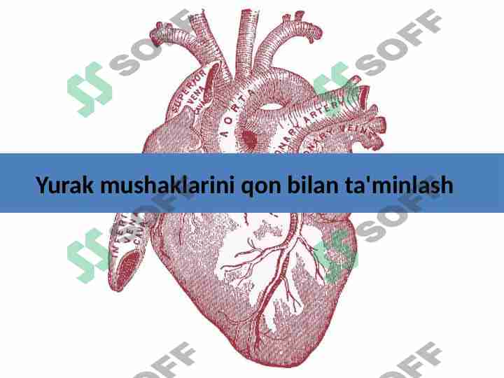 Sexy Osiyo kotibi stolda uning mushuk onanizm