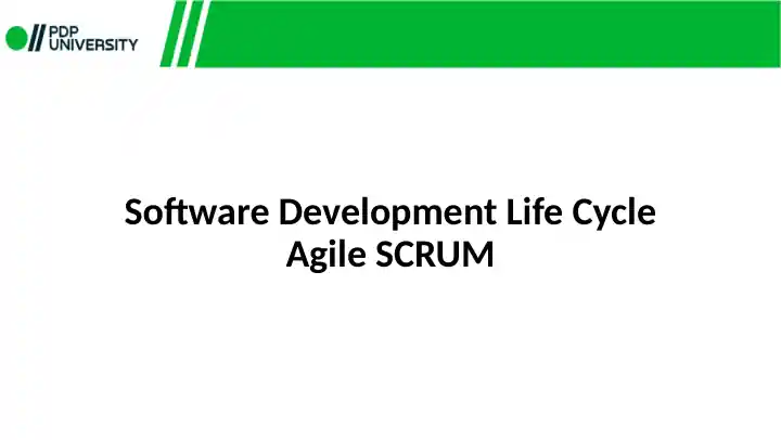 Software Progress Placeholder Software Development Life Cycle