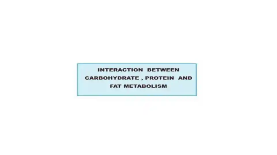 INTERACTION BETWEEN CARBOHYDRATE, PROTEIN AND FAT METABOLISM