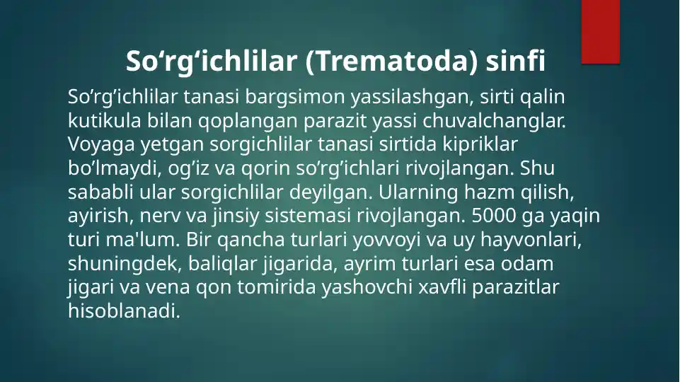 So‘rg‘ichlilar (Trematoda) sinfi