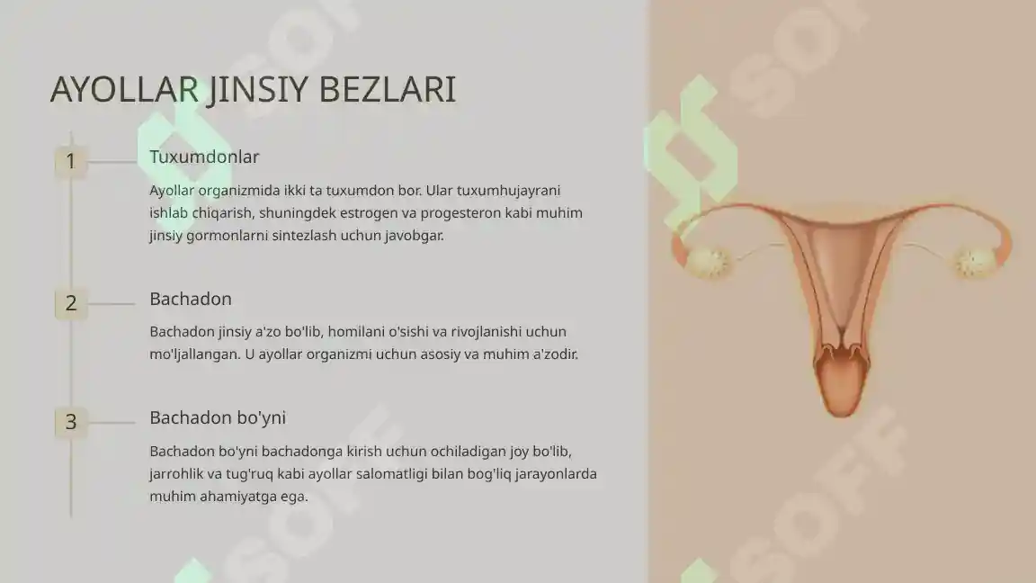 Erotikon Polsha porno-shousini tomosha qiling