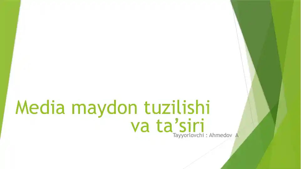 Mediamaydon tuzilishi va ta’siri