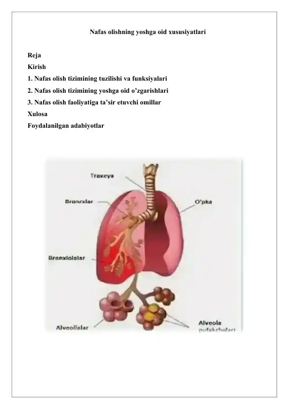 Erkak xotinining oldida oz ogziga quyadi Yosh yigit birinchi marta mushukni yalaydi