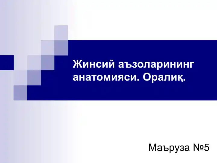 Жинсий аъзоларининг анатомияси. Оралиқ.
