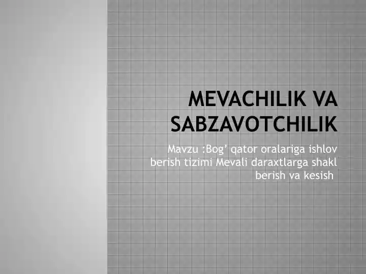 Mevachilik va Sabzavotchilik