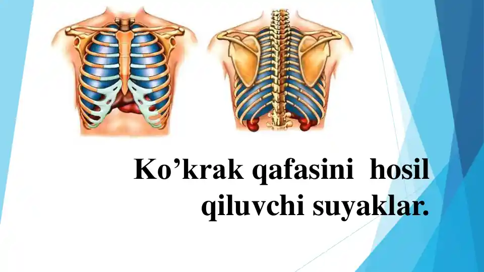 Osiyo porno: Avtobusda jinsiy aloqa onlayn Rus ayollarining pornografik fotosuratlari galereyasi