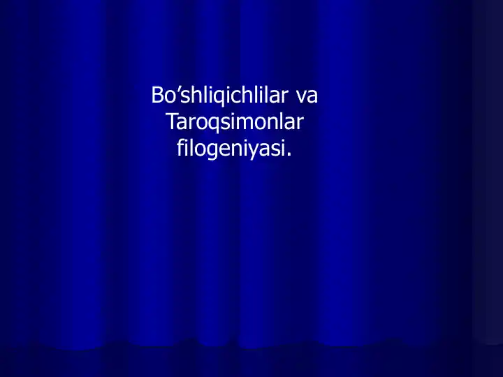 Bo'shliqichlar va Taroqsimonlar filogeniyasi