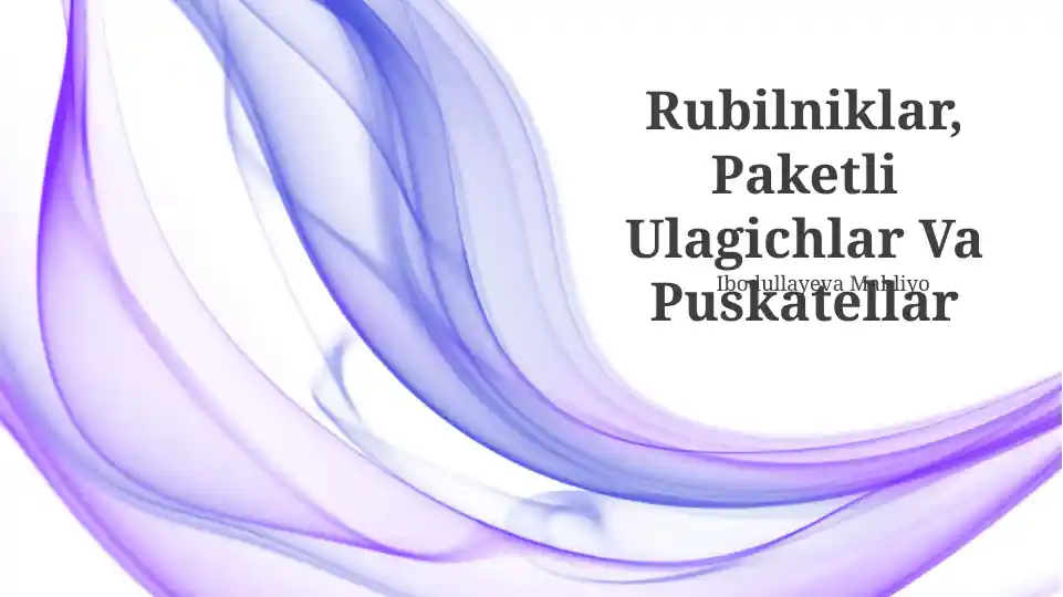 Rubilniklar, Paketli Ulagichlar Va Puskatellar