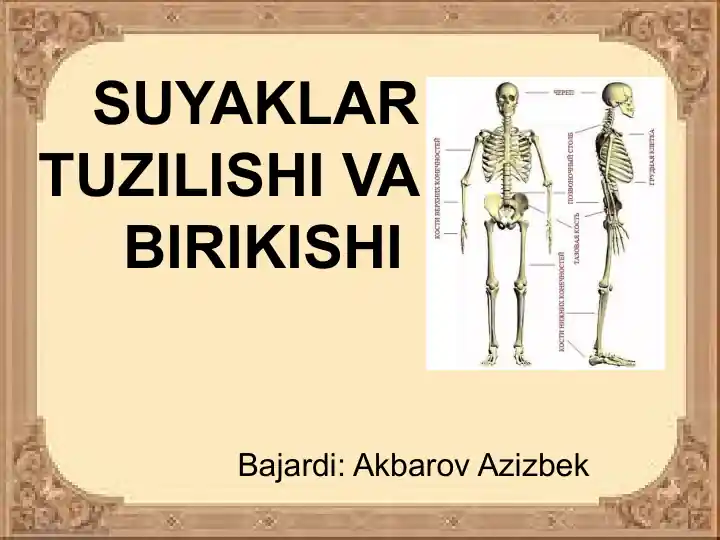 Katta kokraklar bilan qattiq porno tomosha qiling