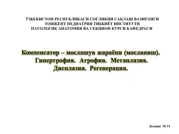 Kompenstator - Moslanish jarayonlari