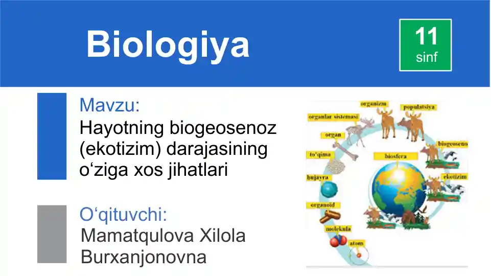 Hayotning biogeosenoz (ekotizim) darajasining o‘ziga xos jihatlari