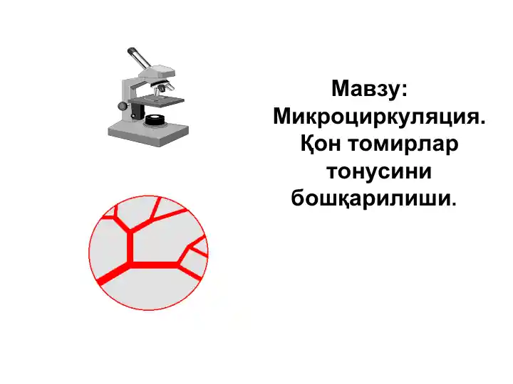 Mikrosirkulyatsiya va qon tomirlar tonusini boshqarish