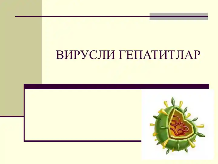 taqdimotlar-tibbiyot-virusli-gepatitlar