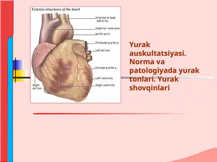 Yurak auskultatsiyasi