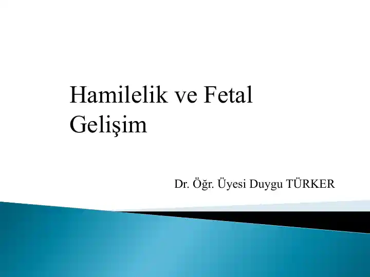 Embriyonik Gelişim ve Hamilelik