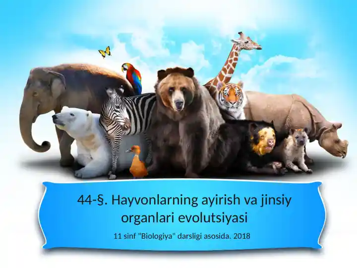 Chililik jirafa jinsiy aloqa