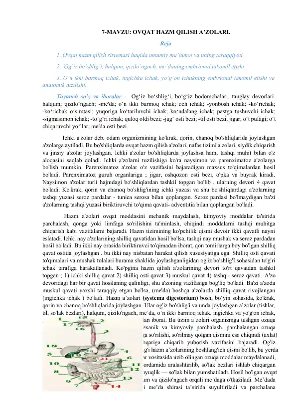 Paypoq kiygan gozal qizlar porno rasmlar Kavkaz qizlar porno