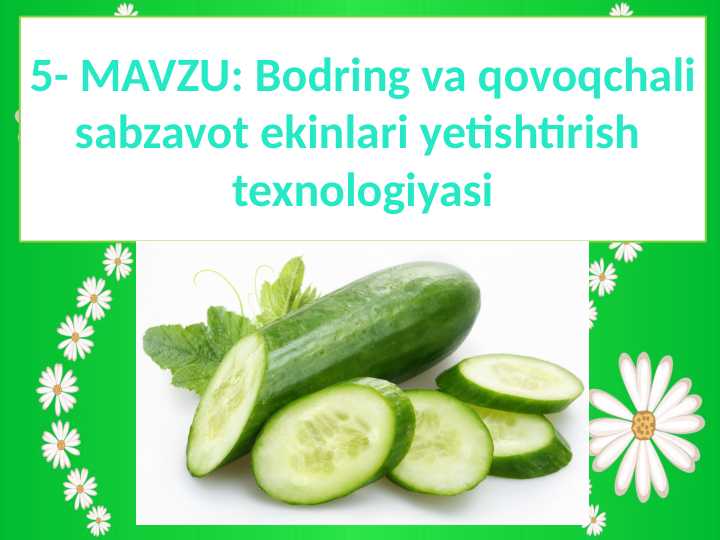 Bodring va qovoqchali sabzavot ekinlari yetishtirish texnologiyasi