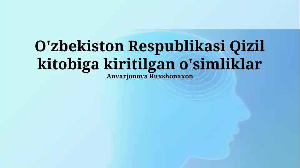 50 yoshlilarning mushuklari