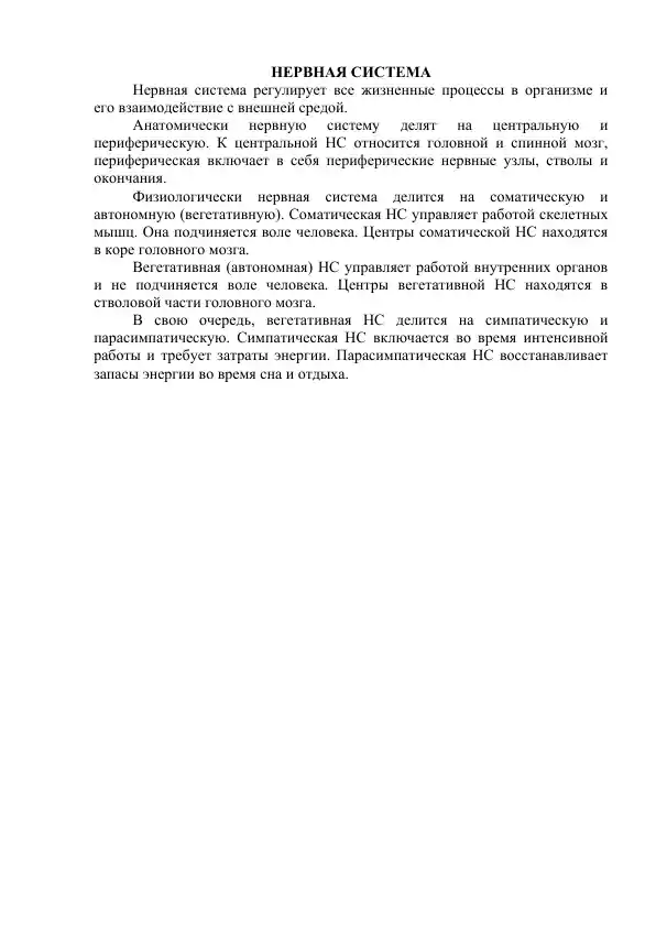 Нервная система