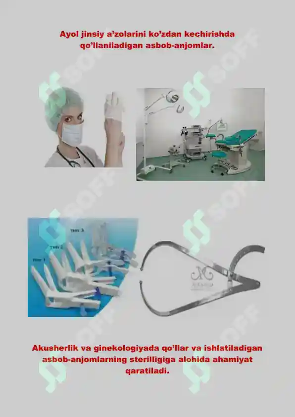 Porno model Britni Spears