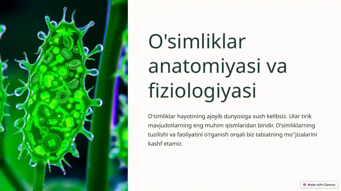 O'simliklar anatomiyasi va fiziologiyasi