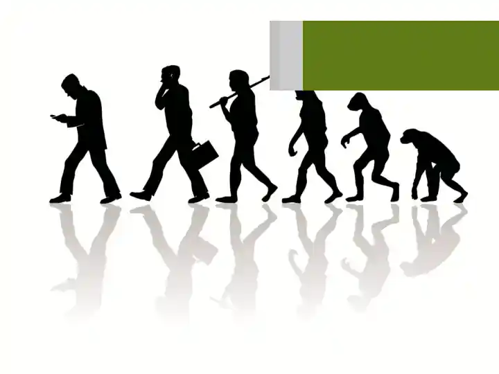 Qadimgi odamlarning mehnat qurollari