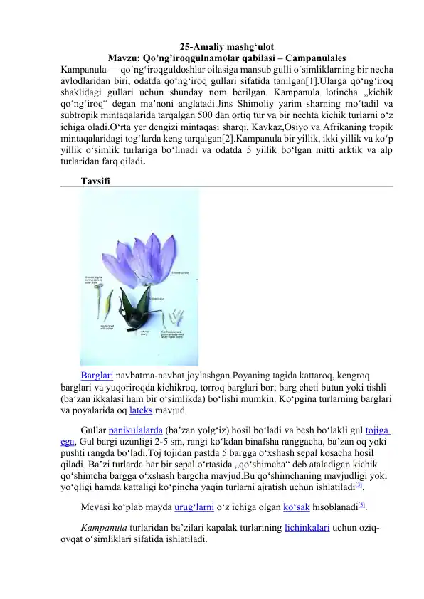 card img