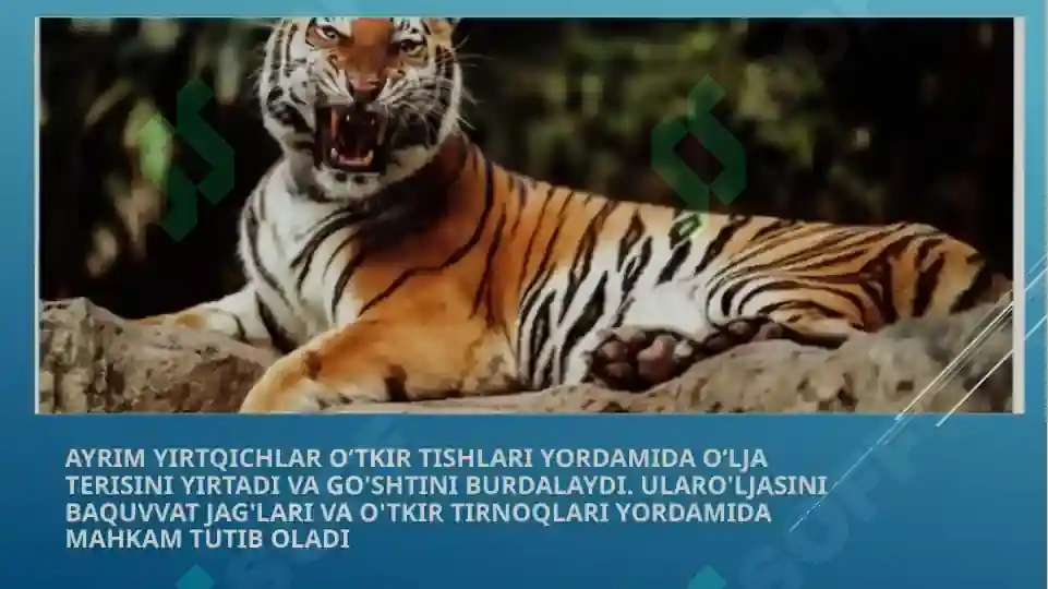 Yosh pornografiya jinsiy aloqa Samolyot hojatxonasida onlayn porno video