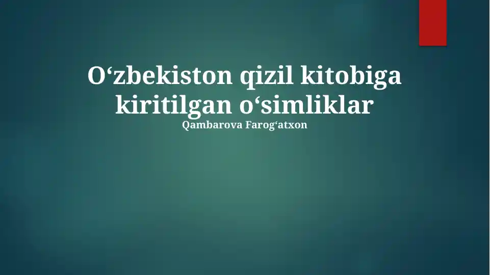 Porno anal jinsiy aloqa