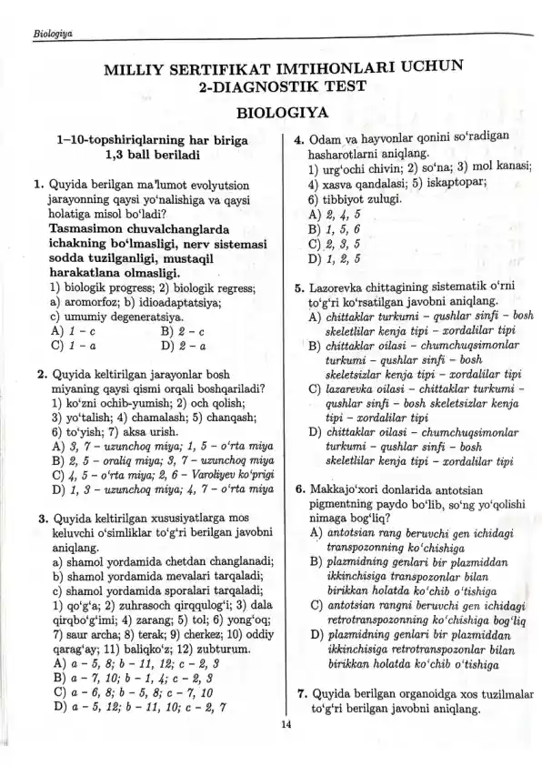 card img