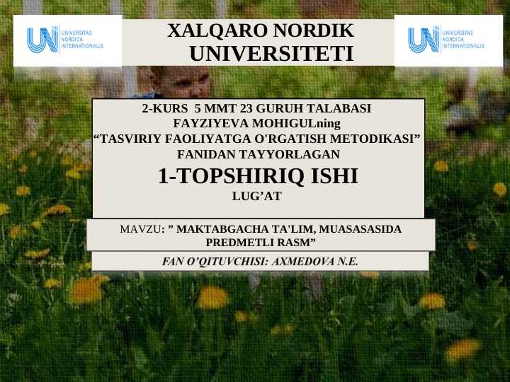 MAKTABGACHA TA'LIM, MUASASASIDA PREDMETLI RASM