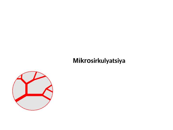 Mikrosirkulyatsiya tizimi