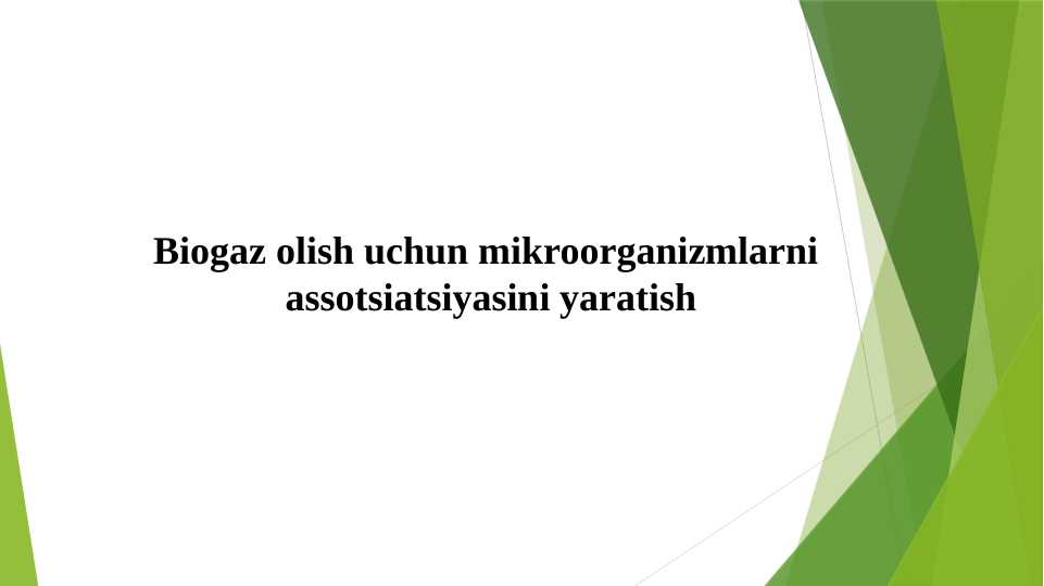 Biogaz olish uchun mikroorganizmlarni assotsiatsiyasini yaratish