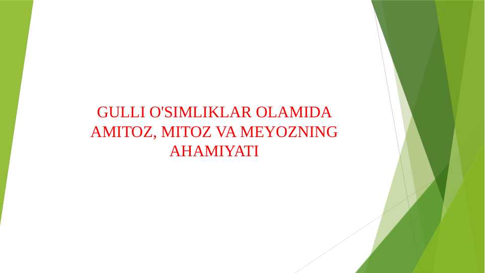 GULLI O'SIMLIKLAR OLAMIDA AMITOZ, MITOZ VA MEYOZNING AHAMIYATI 2